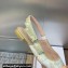 Dior J'Adior Slingback Ballerina Flats in White and Gold-Tone Toile de Jouy Mexico Embroidered Cotton with Metallic Thread 2024