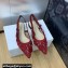 Dior J'Adior Slingback Ballerina Flats in Transparent Mesh Embroidered with Red 3D Macramé-Effect D-Lace Motif 2024
