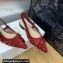 Dior J'Adior Slingback Ballerina Flats in Transparent Mesh Embroidered with Red 3D Macramé-Effect D-Lace Motif 2024