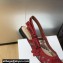 Dior J'Adior Slingback Ballerina Flats in Transparent Mesh Embroidered with Red 3D Macramé-Effect D-Lace Motif 2024