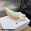 Dior Heel 9.5cm J'Adior Slingback Pumps in Transparent Mesh Embroidered with White 3D Macramé-Effect D-Lace Motif 2024