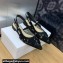 Dior J'Adior Slingback Ballerina Flats in Transparent Mesh Embroidered with Black 3D Macramé-Effect D-Lace Motif 2024