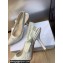 Dior Heel 9.5cm J'Adior Slingback Pumps in Transparent Mesh Embroidered with White Butterfly Motif 2024