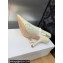 Dior Heel 9.5cm J'Adior Slingback Pumps in Transparent Mesh Embroidered with White Butterfly Motif 2024