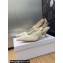 Dior Heel 6.5cm J'Adior Slingback Pumps in Transparent Mesh Embroidered with White Butterfly Motif 2024