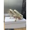 Dior Heel 6.5cm J'Adior Slingback Pumps in Transparent Mesh Embroidered with White Butterfly Motif 2024