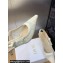 Dior Heel 6.5cm J'Adior Slingback Pumps in Transparent Mesh Embroidered with White Butterfly Motif 2024