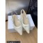 Dior J'Adior Slingback Ballerina Flats in Transparent Mesh Embroidered with White Butterfly Motif 2024