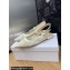 Dior J'Adior Slingback Ballerina Flats in Transparent Mesh Embroidered with White Butterfly Motif 2024