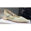 Dior J'Adior Slingback Ballerina Flats in Transparent Mesh Embroidered with White Butterfly Motif 2024