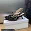 Dior Heel 6.5cm J'Adior Slingback Pumps in Transparent Mesh Embroidered with Black Butterfly Motif 2024