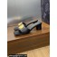 Dior Heel 4.5cm Forever Heeled Slides in Black Calfskin 2024