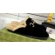 Gucci Merinos wool lining mules with Horsebit 771061 leather Suede Black 2024