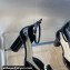 Dior Heel 8.5cm Rose Mary Jane Pumps in Black Patent Calfskin and White Resin Pearls 2024