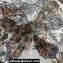 Dior Butterfly Around the World 90 Square Scarf  in White and Pastel Peyote Green Silk Twill 90x90cm 2024