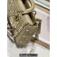 Dior Medium Lady D-Joy Bag in Apricot Cannage Lambskin with Gold-Finish Butterfly Studs 2024
