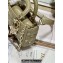 Dior Small Lady D-Joy Bag in Apricot Cannage Lambskin with Gold-Finish Butterfly Studs 2024