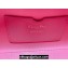 Dior Top Handle Bag in Pink Cannage Lambskin 2024