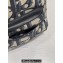 Dior Small Rider Backpack Bag in Beige and Black Maxi Dior Oblique Jacquard 2024