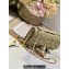 Miss Dior Mini Bag in Apricot Cannage Lambskin with Gold-Finish Butterfly Studs 2024