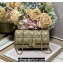Miss Dior Mini Bag in Apricot Cannage Lambskin with Gold-Finish Butterfly Studs 2024