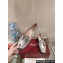 Roger Vivier Heel 5.5cm Viv' Rangers Metal Buckle Loafers in Leather Silver 2024