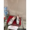 Roger Vivier Heel 5.5cm Viv' Rangers Metal Buckle Loafers in Leather Silver 2024