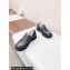 Loewe Blaze derby in bicolour brushed-off calfskin Gray/Black 2024