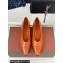 Loro Piana Rebecca Ballerinas in Calfskin Brown 2024