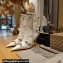 Balenciaga Heel 9cm Cagole Booties in Croco Pattern White