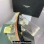 Versace Clear Heel 10cm Medusa hardware Alia Mules PVC Gold 2024
