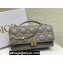 Miss Dior Mini Bag in Cannage Lambskin Gray with Removable jewel chain 2024