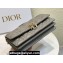 Miss Dior Mini Bag in Cannage Lambskin Gray with Removable jewel chain 2024
