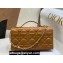 Miss Dior Mini Bag in Cannage Lambskin Brown with Removable jewel chain 2024