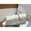 Lady Dior Phone Pouch Bag in Cannage Lambskin White with Removable jewel chain 2024