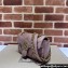 Gucci GG Marmont Mini shoulder bag 446744 Leather Nude Pink with small Double G studs 2024