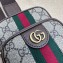 Gucci Ophidia GG mini bag with Web 752565 beige and ebony Supreme 2024