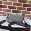 Gucci Ophidia GG mini bag 746308 beige and ebony Supreme 2024