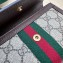 Gucci Ophidia GG mini bag 746308 beige and ebony Supreme 2024