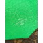 Louis Vuitton Monogram Canvas Passport Cover M82867 Green 2024