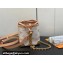 Louis Vuitton Monogram canvas Noé Purse LV Charms Bag M83227 2024