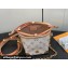 Louis Vuitton Monogram canvas Noé Purse LV Charms Bag M83227 2024