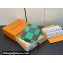 Louis Vuitton Damier Pop Canvas Multiple Wallet N40542 Green 2024