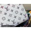 Louis Vuitton Lambskin Coussin BB Bag M23617 LV Ski Gray 2024