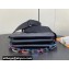 Louis Vuitton Lambskin Coussin PM Bag M23618 LV Ski Black 2024