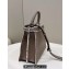 Fendi Peekaboo ISEEU Medium Bag Gray Calfskin/Python Edge