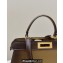 Fendi Peekaboo ISEEU Medium Bag Graduated Coffee
