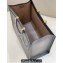 Fendi Sunshine Large Shopper Tote Bag Graduated Gray