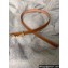 Fendi Width 2cm Bag Bugs Crystal leather Belt Brown
