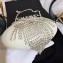 Chanel Resin/Strass Fringe Minaudiere Bag A94666 White 2018